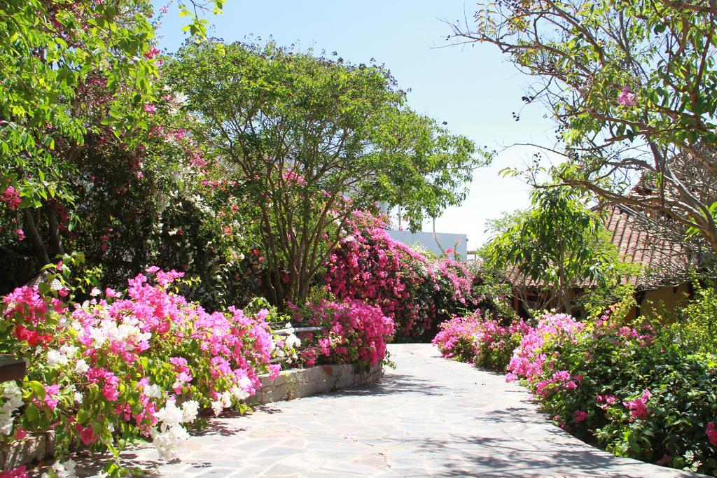 Poshanu Boutique Resort Phan Thiet Exterior photo